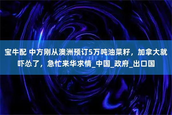 宝牛配 中方刚从澳洲预订5万吨油菜籽,加拿大就吓怂了,急忙来华求情_中国_政府_出口国